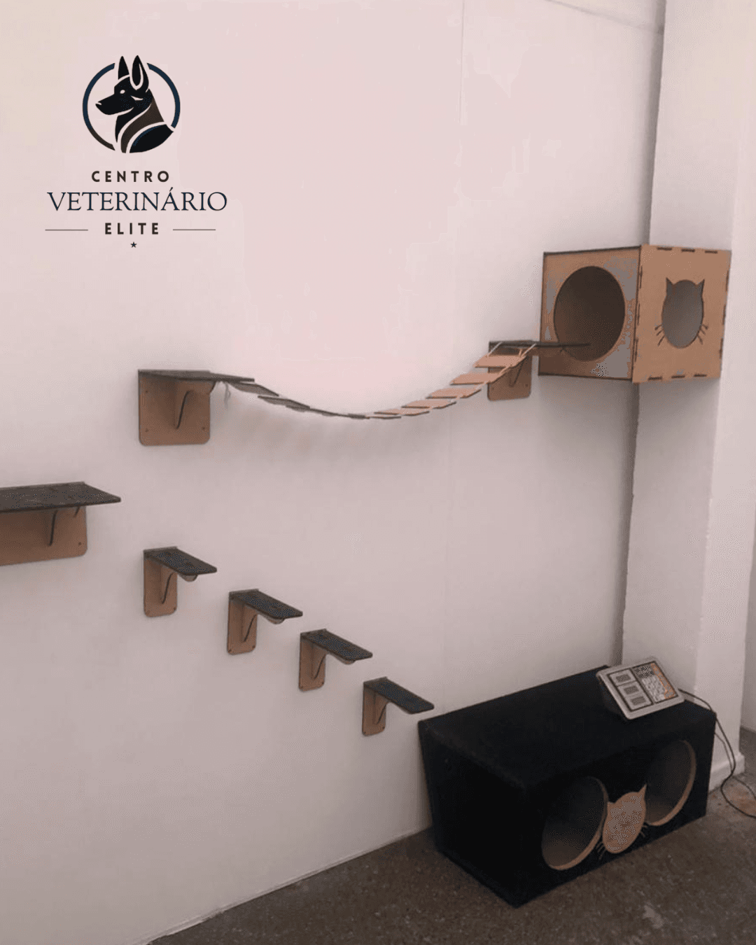 Consultório para Gatos